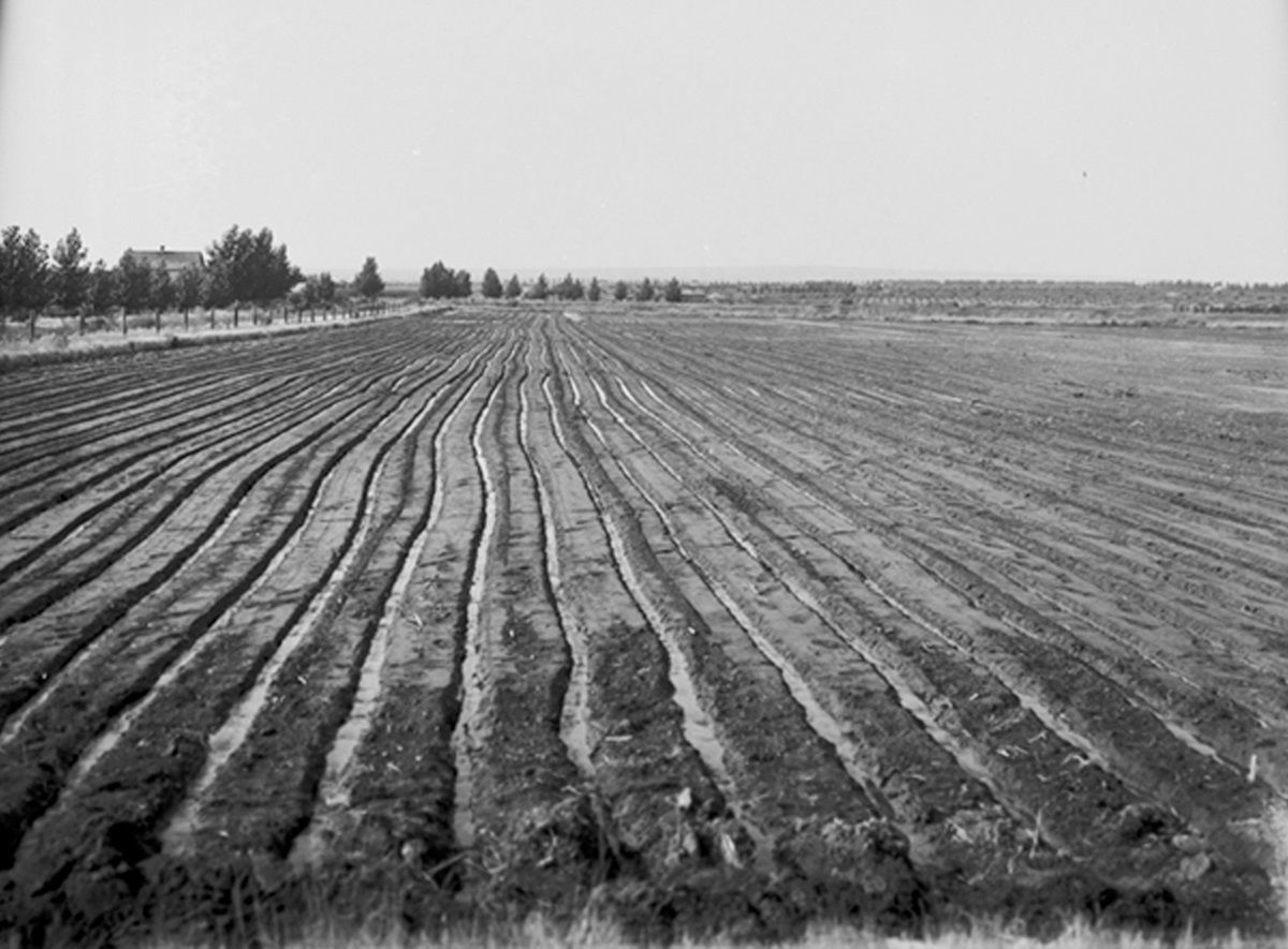 Gravity irrigation